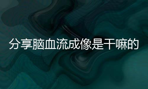 分享腦血流成像是干嘛的，關(guān)于高科技腦血流成像軟件的詳情