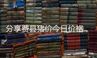 分享費縣豬價今日價格，關于費縣今日豬油價格表的詳情