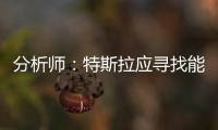 分析師：特斯拉應尋找能力更強的CEO或COO
