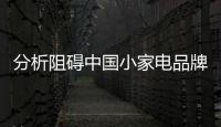 分析阻礙中國(guó)小家電品牌推廣的主要因素