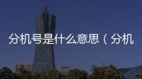分機號是什么意思（分機號是什么）