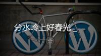 分水嶺上好春光 _