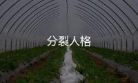 分裂人格