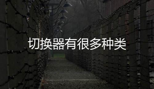 切換器有很多種類