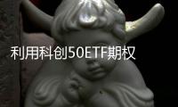 利用科創50ETF期權為標的成分股進行保險的案例（上篇）