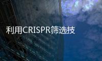 利用CRISPR篩選技術(shù)或有望識(shí)別出治療AML新型藥物靶點(diǎn)
