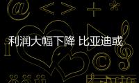 利潤(rùn)大幅下降 比亞迪或迎來(lái)陣痛期