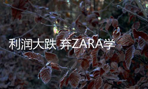利潤大跌 棄ZARA學(xué)優(yōu)衣庫美邦陷轉(zhuǎn)型困境