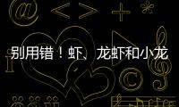 別用錯！蝦、龍蝦和小龍蝦的英文完全不一樣！