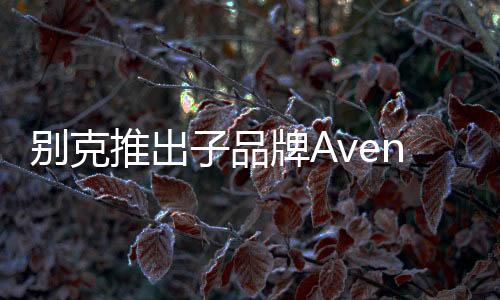 別克推出子品牌Avenir 押注高端車型
