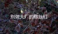別做大廠的螺絲釘