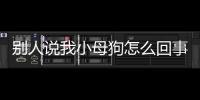 別人說(shuō)我小母狗怎么回事呢怎么回答？別人說(shuō)我小奶狗怎么辦