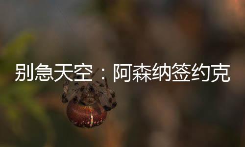 別急天空：阿森納簽約克雷斯保持放松 會(huì)堅(jiān)持策略&有心理價(jià)位