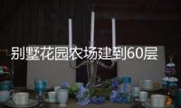 別墅花園農場建到60層 這個樓盤忒牛了！（組圖）