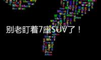 別老盯著7座SUV了！二胎車其實可以這么選！