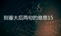 別董大后兩句的意思15個字（別董大后兩句的意思）