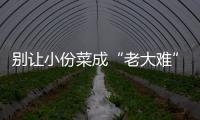 別讓小份菜成“老大難”