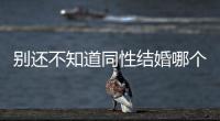 別還不知道同性結婚哪個國家可以領證，想低成本快速拿看這