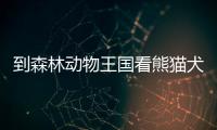 到森林動(dòng)物王國看熊貓犬泰州溱湖灣歡樂一夏添新景