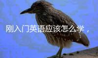 剛入門英語應該怎么學，英語應該怎么學