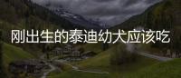 剛出生的泰迪幼犬應該吃什么