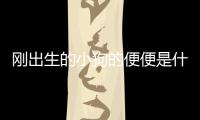 剛出生的小狗的便便是什么樣的？剛出生的狗狗便便是什么樣子