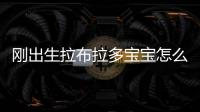 剛出生拉布拉多寶寶怎么喂養(yǎng)？拉布拉多剛出生怎么喂養(yǎng)