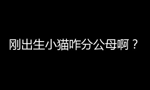 剛出生小貓咋分公母啊？剛出生小貓怎么分公母