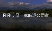 剛剛，又一家航運公司宣告倒閉！