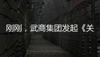 剛剛，武商集團發(fā)起《關于攜手應對關稅政策挑戰(zhàn)的倡議》