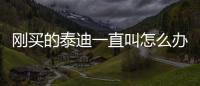 剛買的泰迪一直叫怎么辦(剛買的泰迪要檢查嗎)