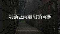 剛領證就遭吊銷駕照