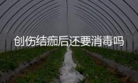 創傷結痂后還要消毒嗎