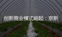 創新商業模式崛起：京新匯打造購物社交新平臺