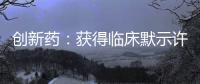 創新藥：獲得臨床默示許可 請關注ICH