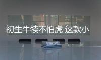 初生牛犢不怕虎 這款小型SUV上市就成王者