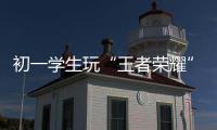 初一學(xué)生玩“王者榮耀”被罵后跳樓 父親斥責(zé)騰訊