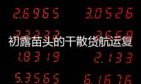 初露苗頭的干散貨航運復蘇失去動力