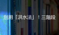 別用「洪水法」！三階段「正向貓咪親訓法」，讓怕生喵星人變成親人