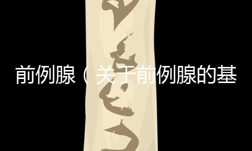 前例腺（關于前例腺的基本情況說明介紹）