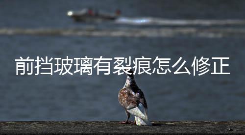 前擋玻璃有裂痕怎么修正  前擋玻璃裂痕都能修正嗎,行業(yè)資訊