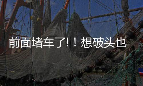 前面堵車了!！想破頭也不知道堵車原因是800只鵝