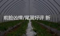前臉兇悍/尾翼好評 新款吉利繽越配新1.5T