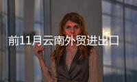 前11月云南外貿進出口3073.3億元同比增長12.1%