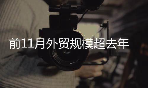 前11月外貿(mào)規(guī)模超去年全年水平：新興業(yè)態(tài)蓬勃發(fā)展 民營(yíng)企業(yè)增速最快