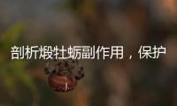 剖析煅牡蠣副作用，保護(hù)你的身體健康