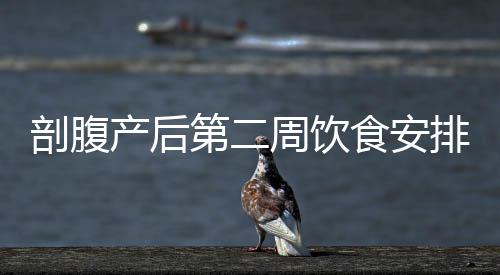 剖腹產(chǎn)后第二周飲食安排