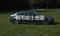 剃毛哈士奇圖