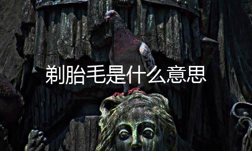 剃胎毛是什么意思