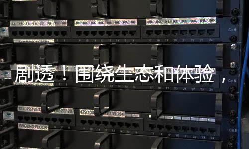 劇透！圍繞生態(tài)和體驗(yàn)，華為HMS亮出多款“殺手锏”